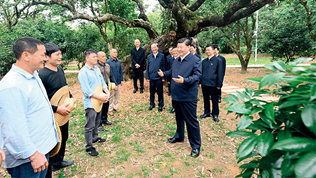 加快构建新发展格局　把握未来发展主动权